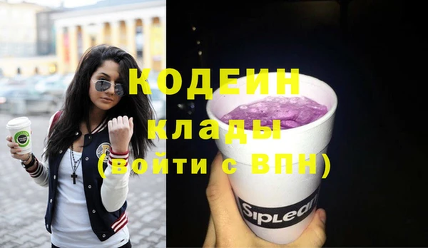 2c-b Бородино