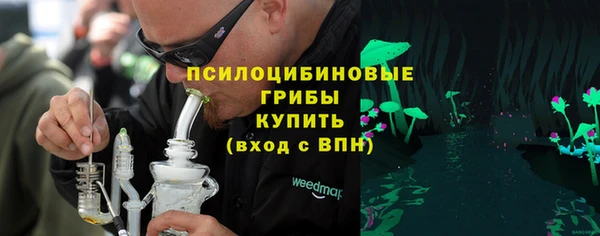 2c-b Бородино