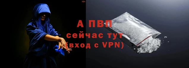 2c-b Бородино