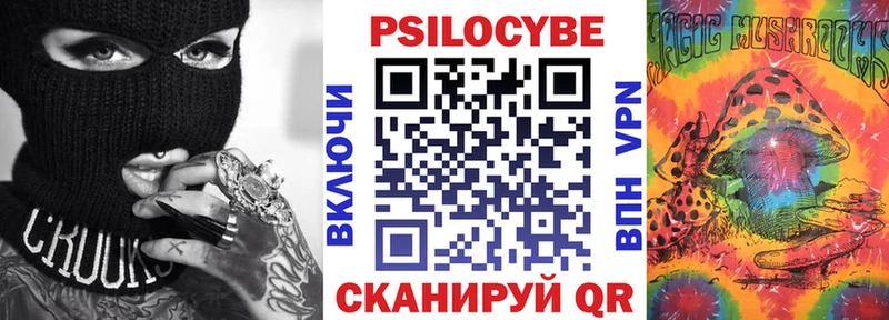 Псилоцибиновые грибы Psilocybe  закладки  Южа 